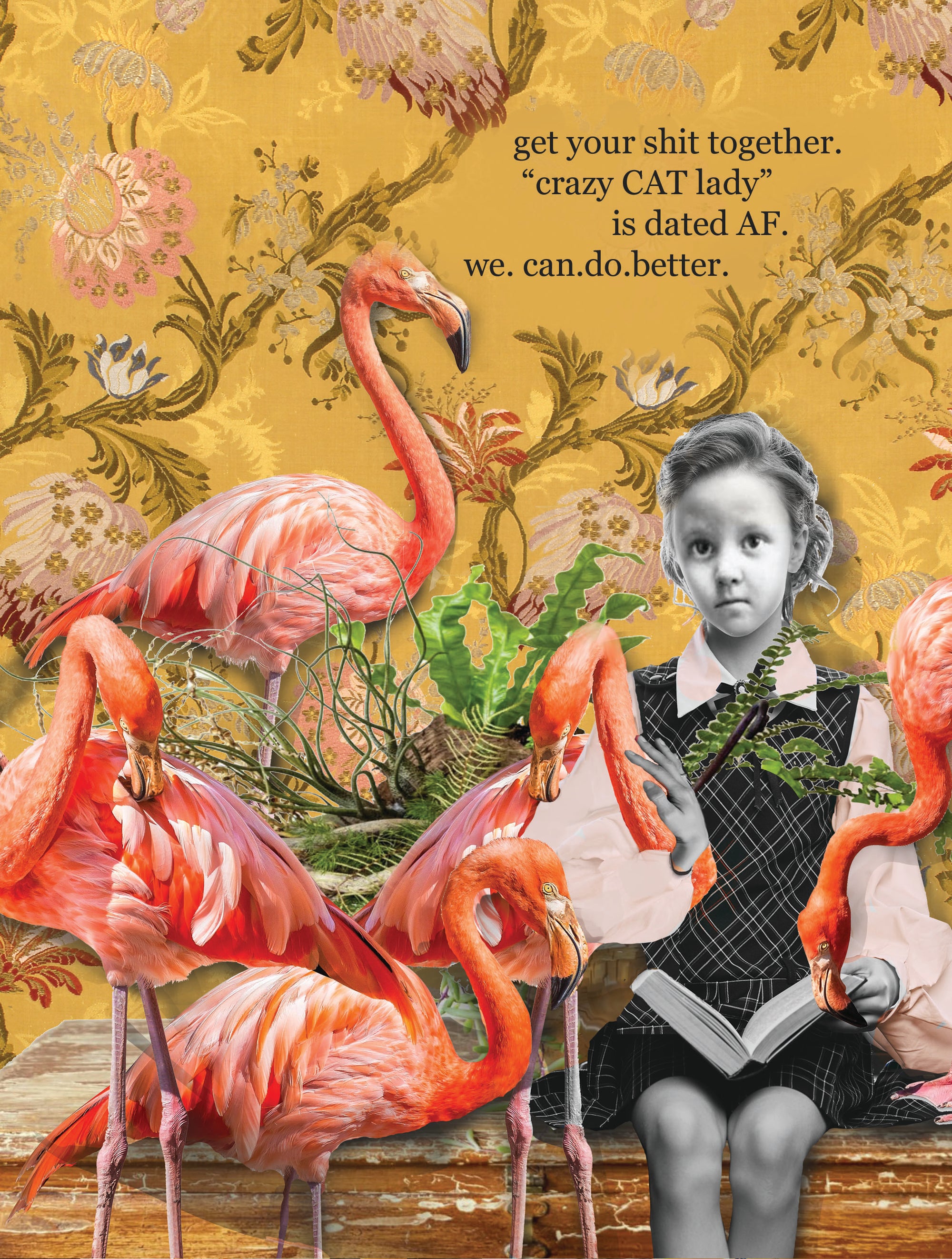 524 Crazy Cat Lady Mug